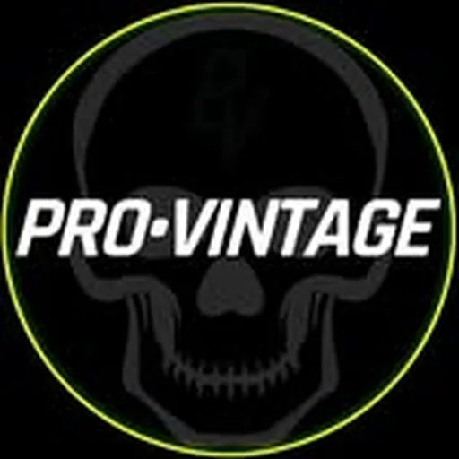 @pro.vntg profile image