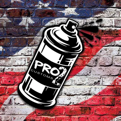 @pro2customs profile image