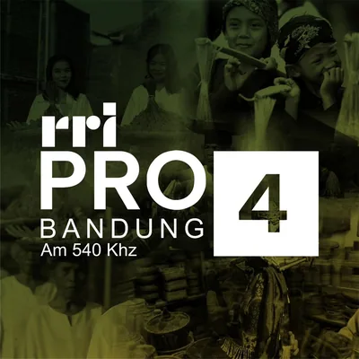 @pro4bdg profile image