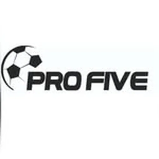 @profive_academy profile image