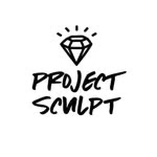 @projectsculpt profile image