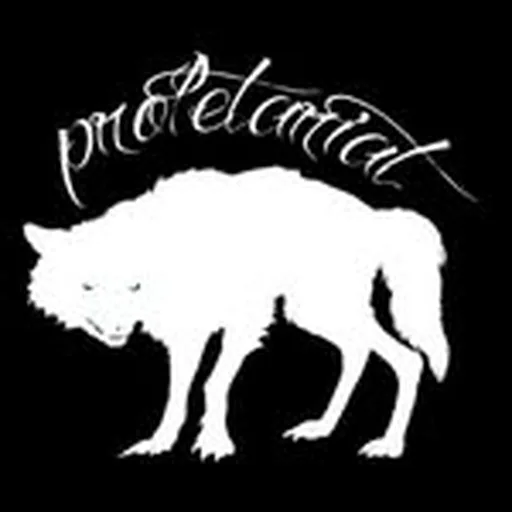 @proletariatny profile image