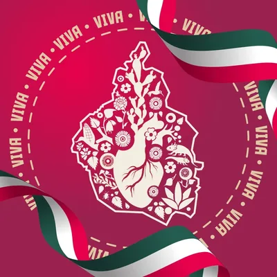 @promocioncdmx profile image