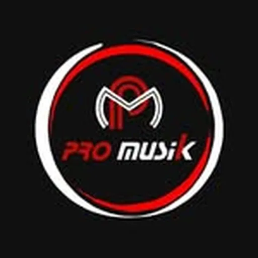 @promusik.id profile image