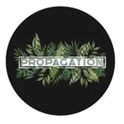 @propagationsf profile image