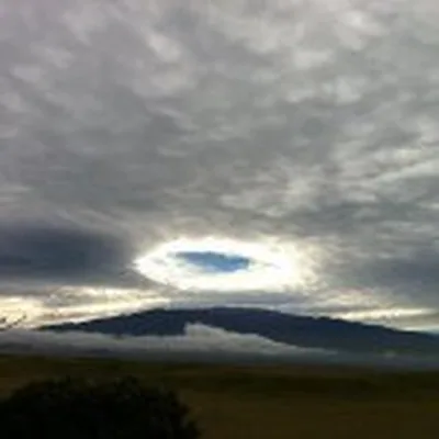 @protectmaunakea profile image
