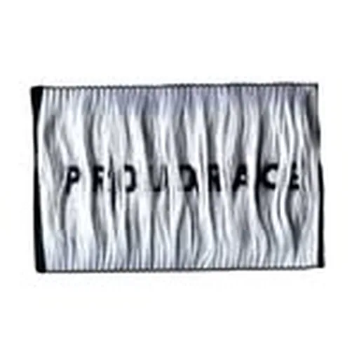 @proudrace profile image