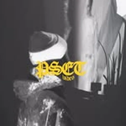 @pset_ profile image