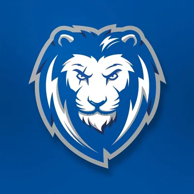 @psklions profile image