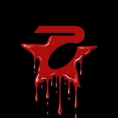 @public_couture profile image