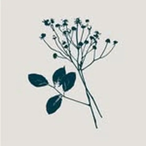 @published.on.main profile image
