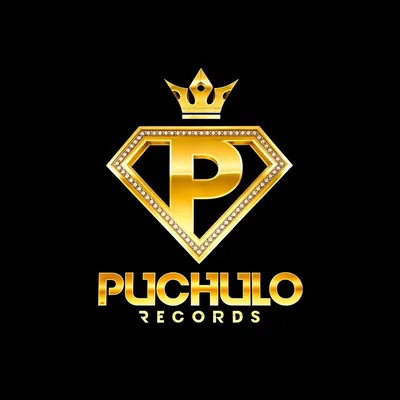 @puchulorecord profile image