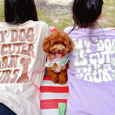 @pudding_the_pomapoo profile image