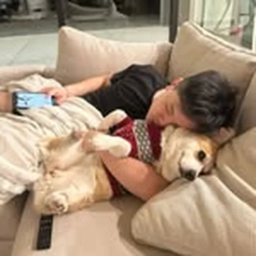 @pug profile image
