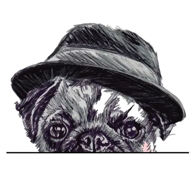@pugseal profile image