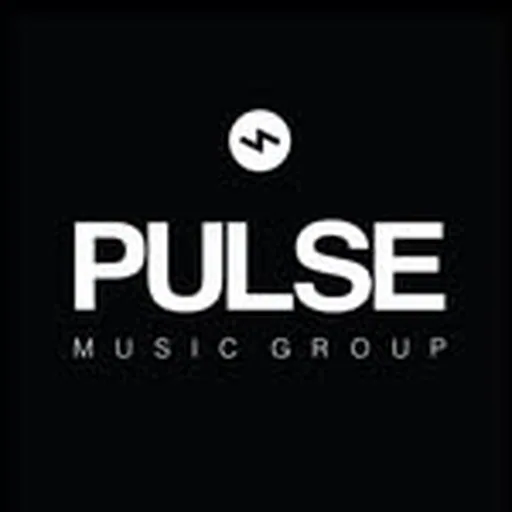 @pulserecording profile image