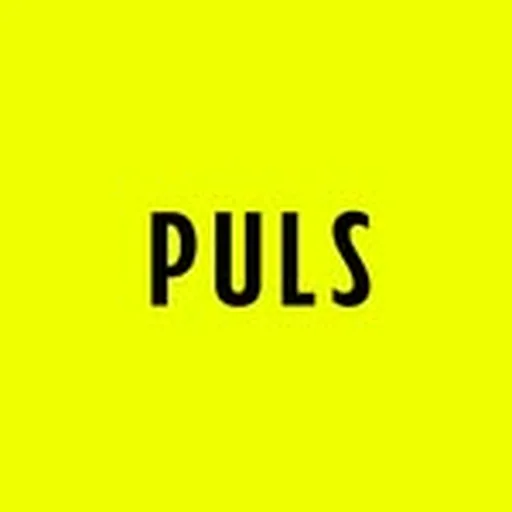 @pulskr profile image