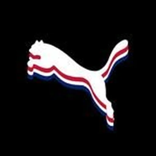 @puma.uk profile image