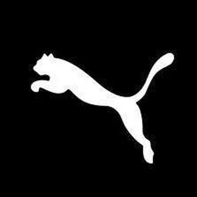 @pumagolf_japan profile image