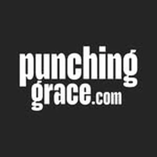 @punchinggrace profile image