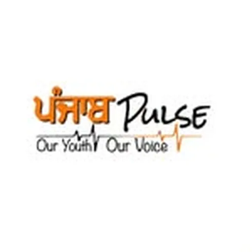 @punjab.pulse_ profile image