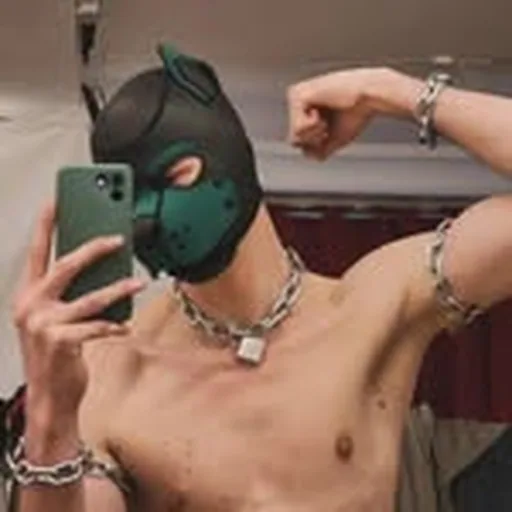 @pup.veros profile image