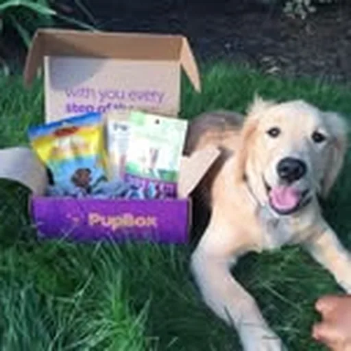 @pupbox profile image