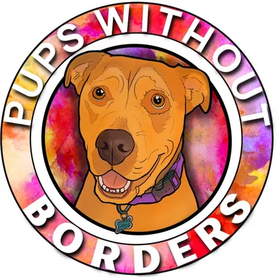 @pupswithoutborders profile image