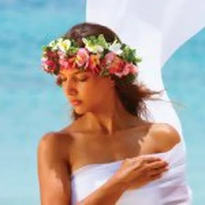 @purefiji profile image