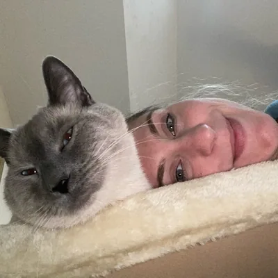 @purrfectlysmelly profile image
