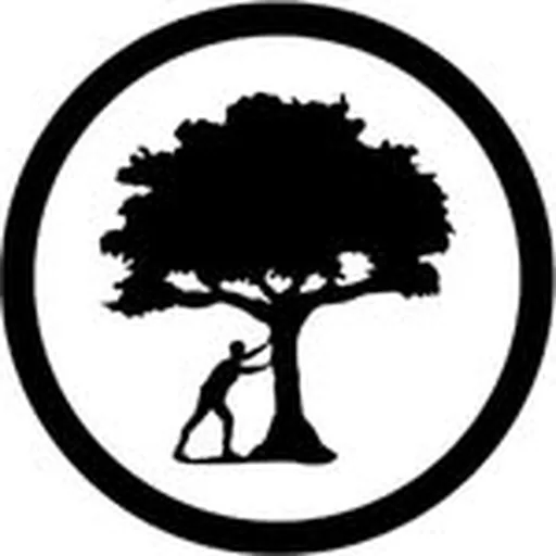 @push_trees_ profile image