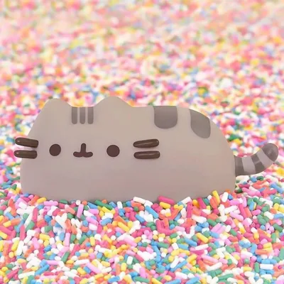 @pusheenbox profile image