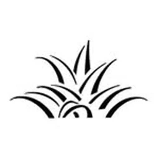 @qkcmaui profile image