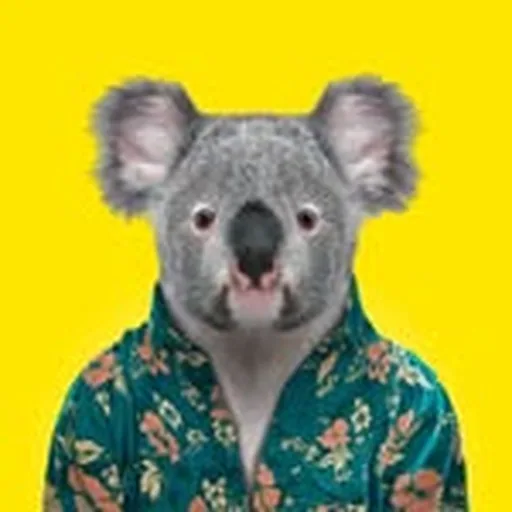 @queensland profile image