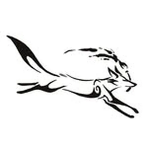 @quirkyfoxnz profile image