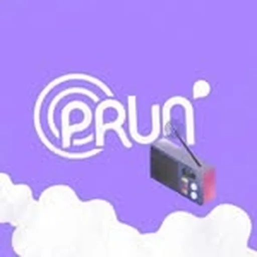 @radio_prun profile image