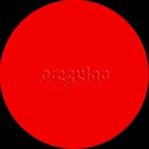 @raegular profile image