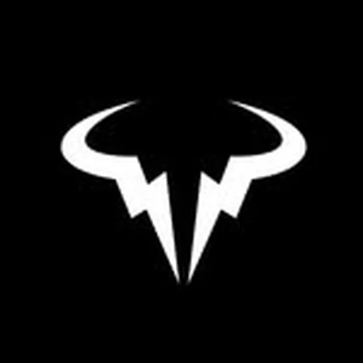 @rafanadalacademy profile image