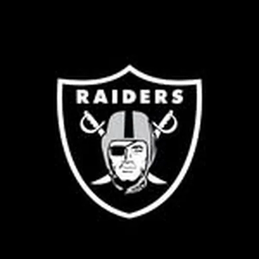 @raiders profile image