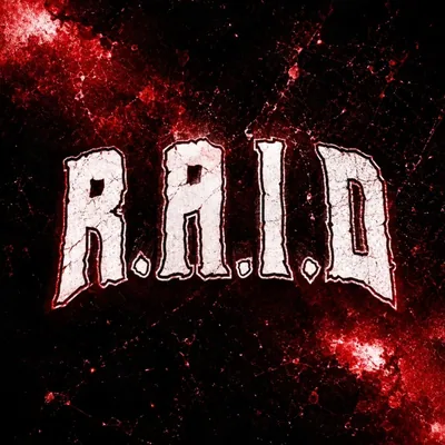 @raidhxc profile image
