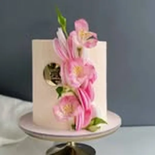 @raina.cake profile image