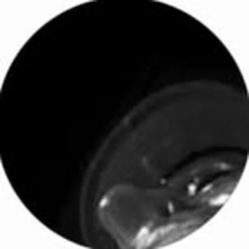 @ralos__ profile image