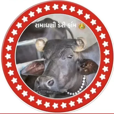 @ramadhani_dairy_farm78 profile image