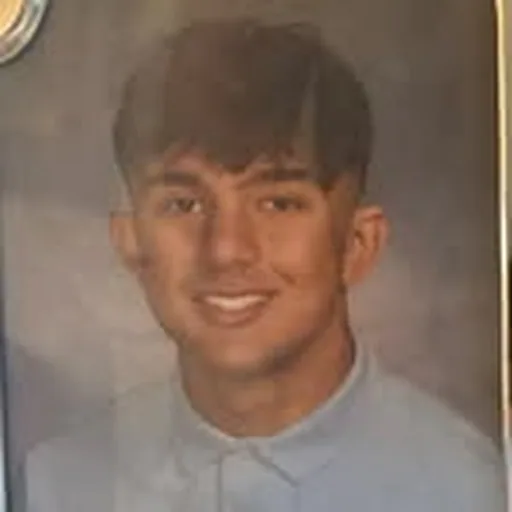 @raminfarzaie profile image