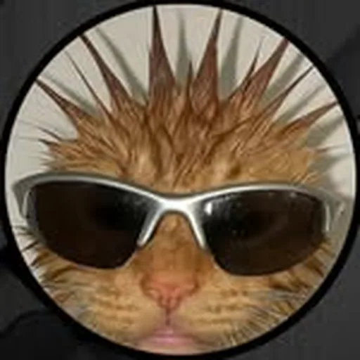 @randay.ca profile image
