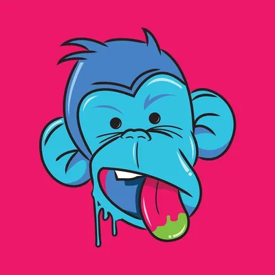 @random.direction profile image