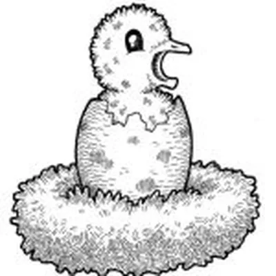 @ratt_ray profile image