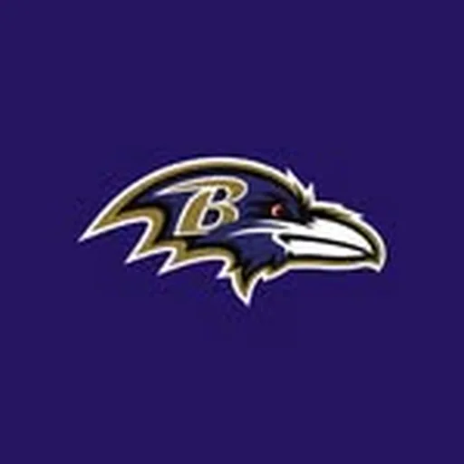@ravens profile image