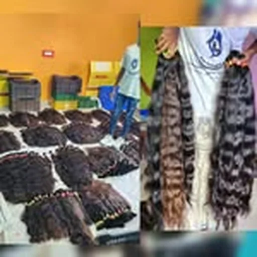 @raw_indian_natural_hair_vendor profile image