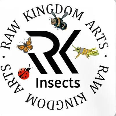 @raw_insects profile image